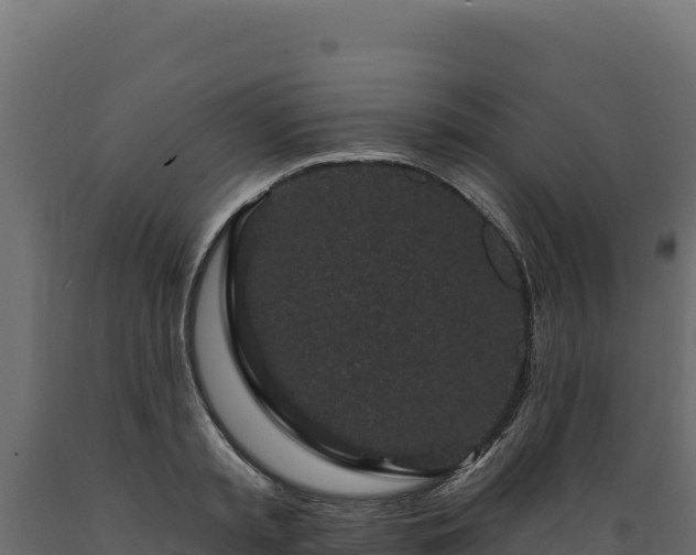 X0000089940797200707061059