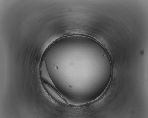 X0000089940798200707061059