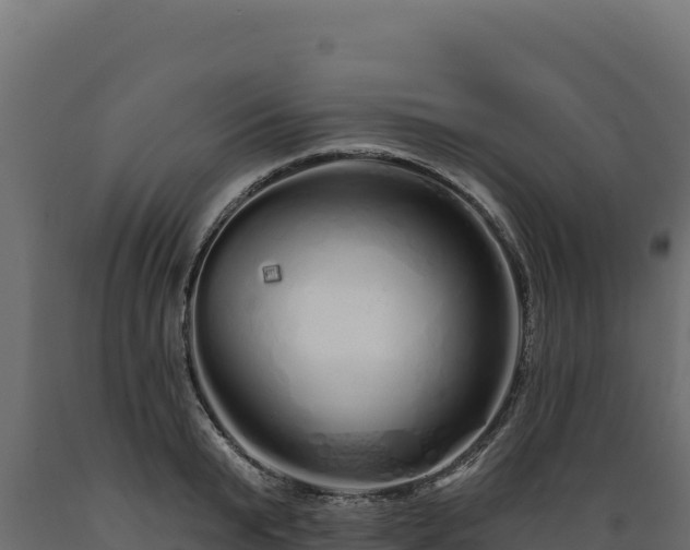 X0000089940799200707061059