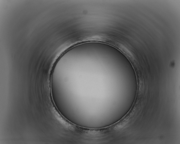 X0000089940800200707061059