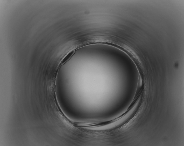 X0000089940801200707061059