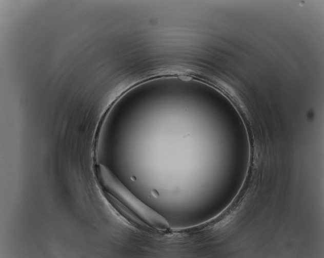 X0000089940802200707061059