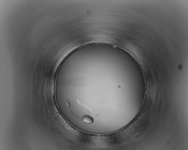 X0000089940804200707061059