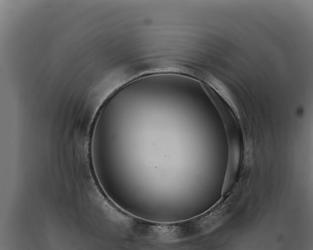 X0000089940805200707061059