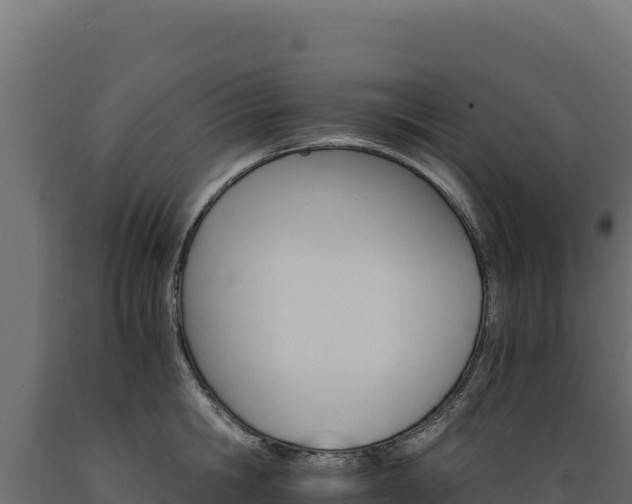 X0000089940806200707061059