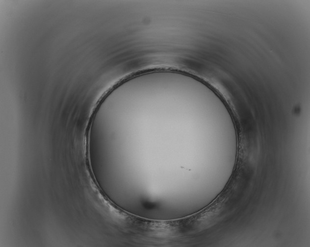 X0000089940807200707061059