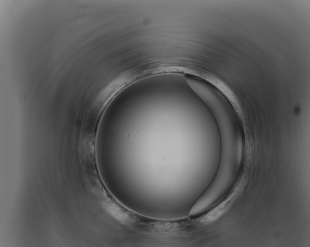 X0000089940809200707061059