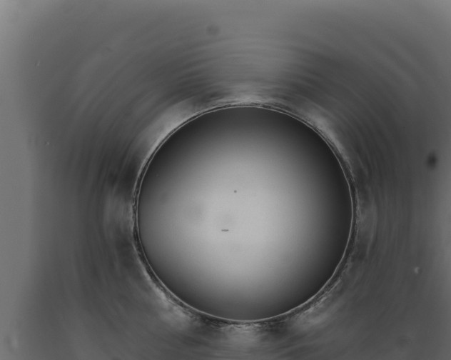 X0000089940810200707061059