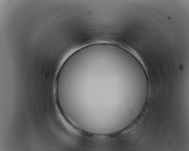 X0000089940811200707061059