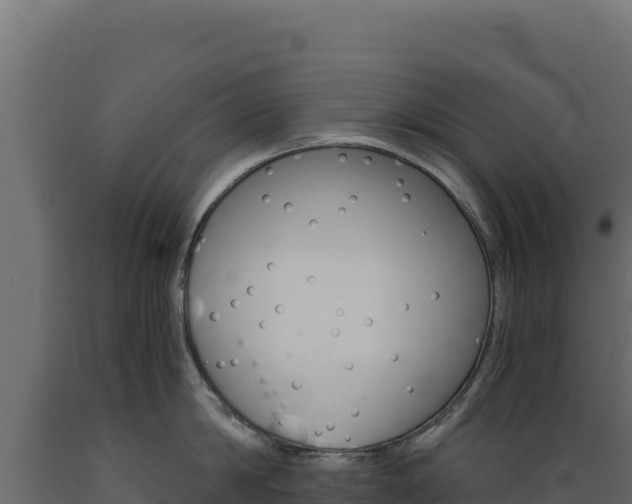 X0000089940814200707061059