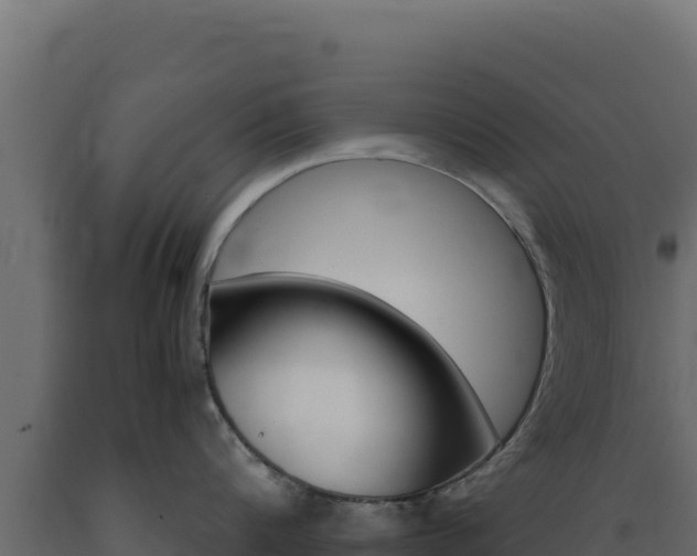 X0000089940816200707061059