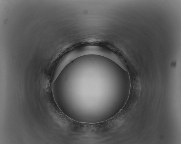 X0000089940818200707061058