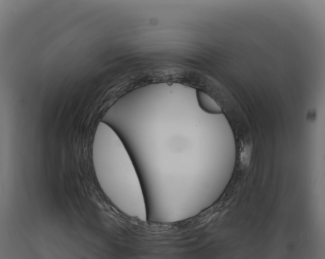 X0000089940819200707061058