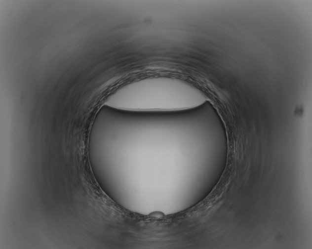 X0000089940821200707061058