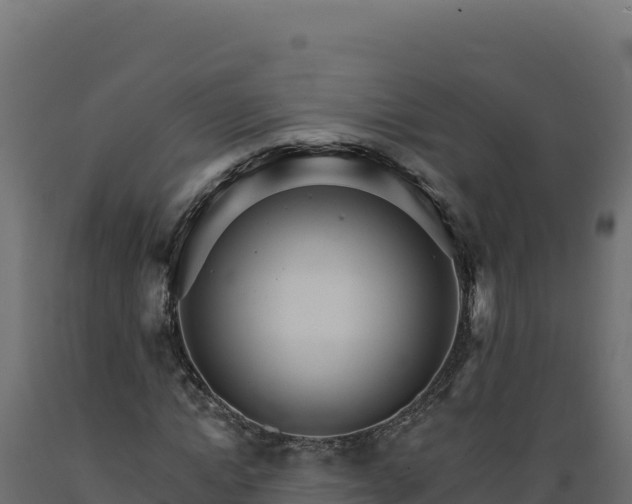 X0000089940822200707061058