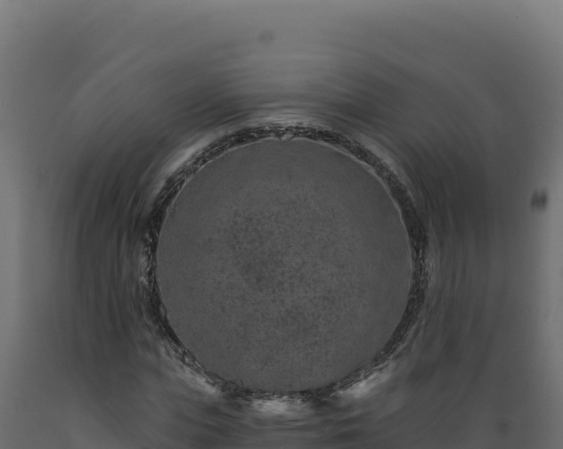 X0000089940823200707061058