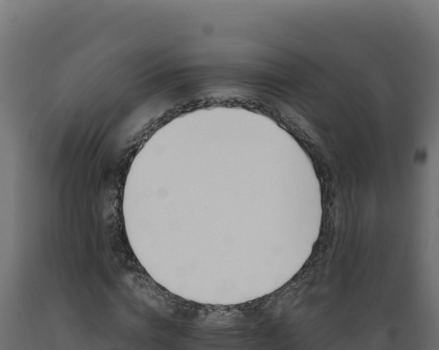 X0000089940824200707061058