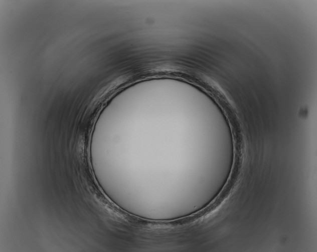 X0000089940825200707061058