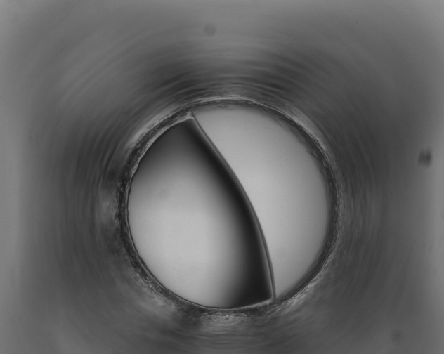 X0000089940826200707061058