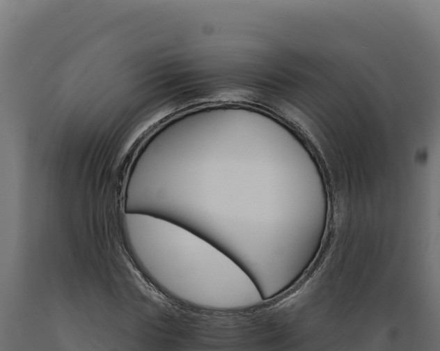 X0000089940827200707061058