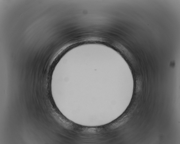 X0000089940828200707061058