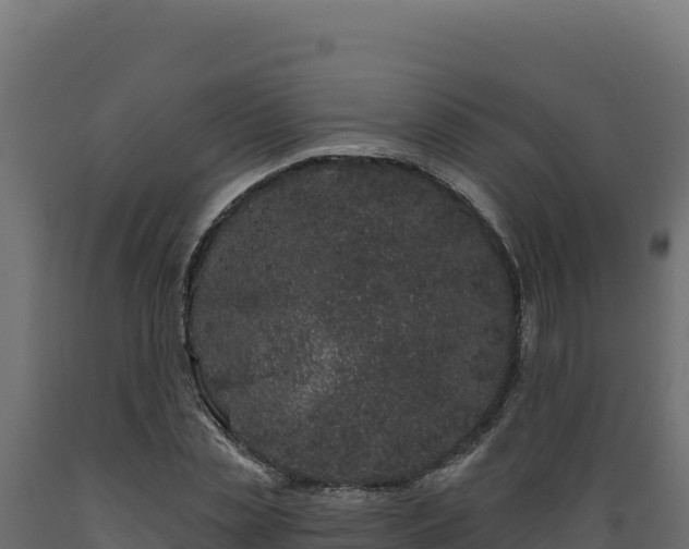 X0000089940829200707061058