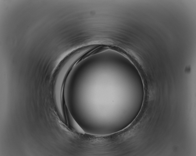 X0000089940830200707061058