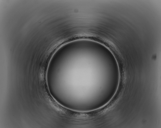 X0000089940833200707061058