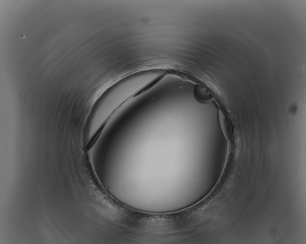 X0000089940834200707061058