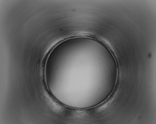 X0000089940835200707061058