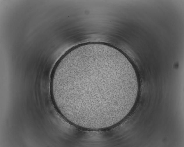 X0000089940836200707061058