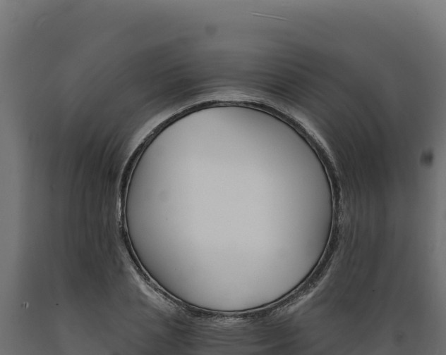 X0000089940837200707061058