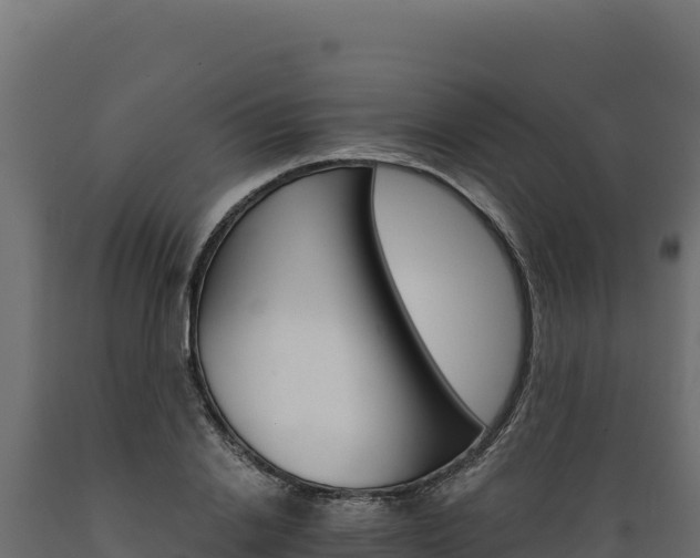 X0000089940838200707061058