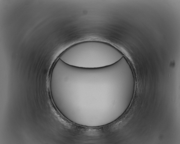 X0000089940839200707061058