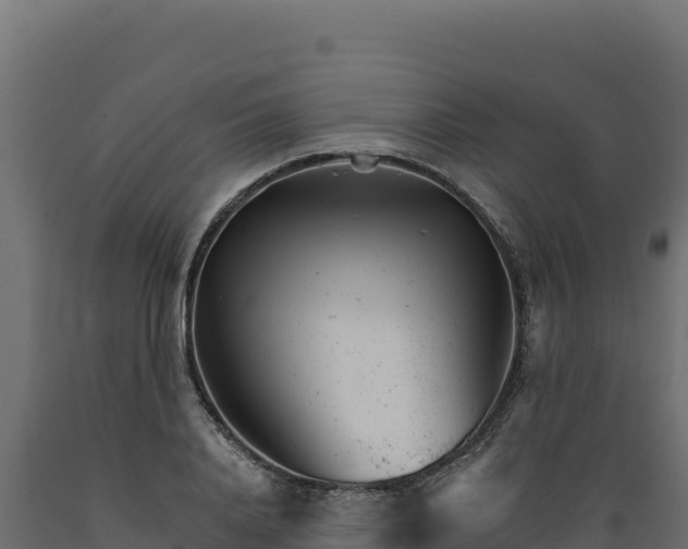 X0000089940840200707061058