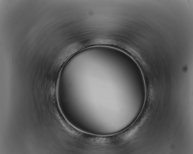 X0000089940841200707061058