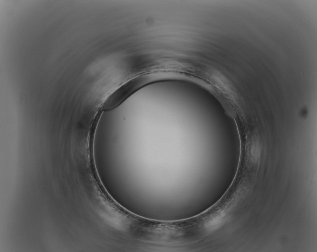 X0000089940842200707061058