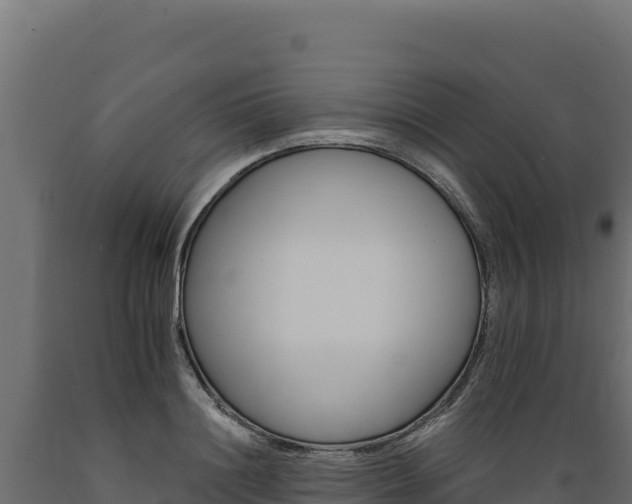 X0000089940844200707061058