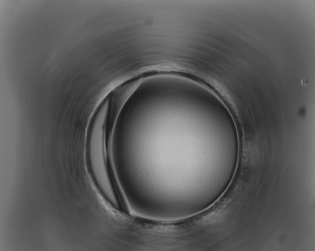 X0000089940845200707061058