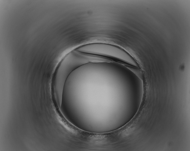 X0000089940846200707061059