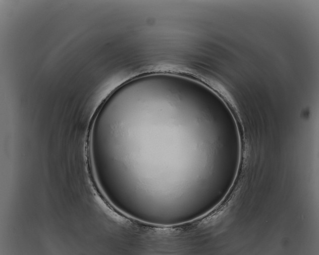 X0000089940847200707061059