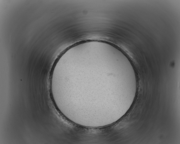 X0000089940848200707061059