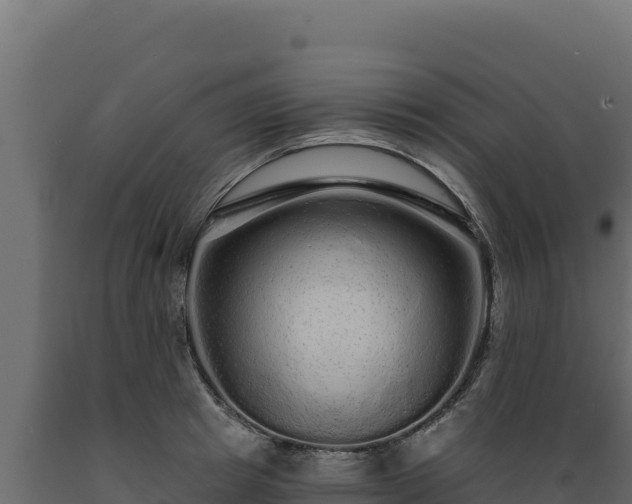 X0000089940849200707061059