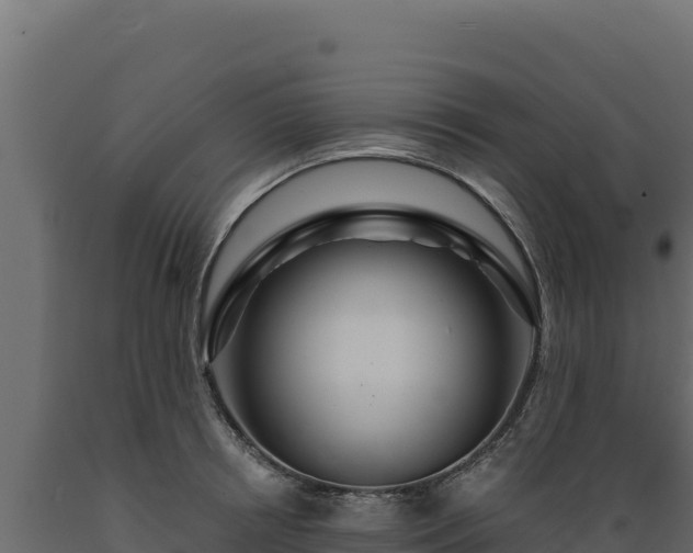 X0000089940850200707061059