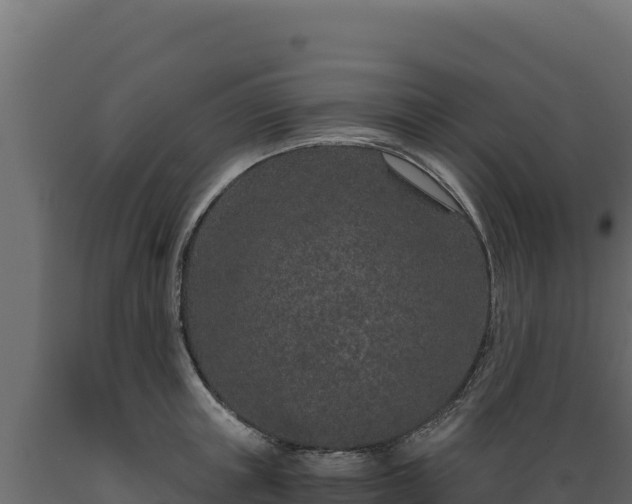 X0000089940851200707061059