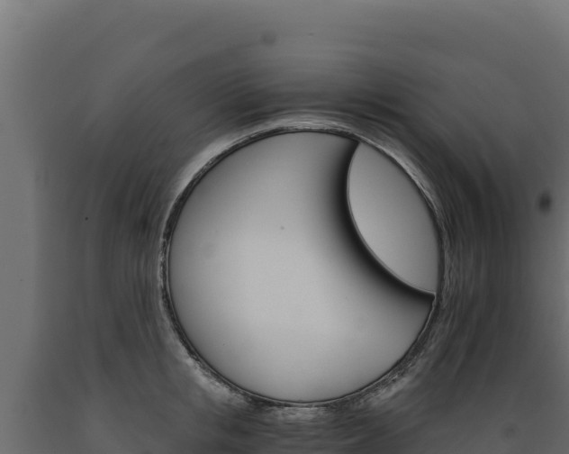 X0000089940853200707061059