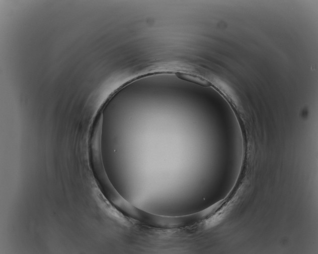 X0000089940854200707061059