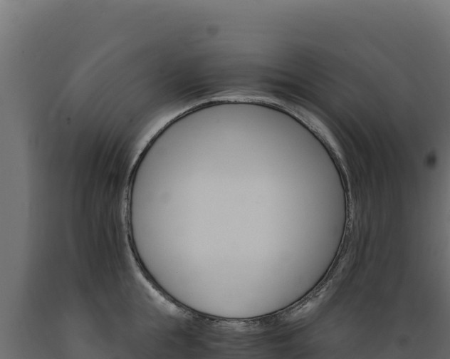 X0000089940855200707061059