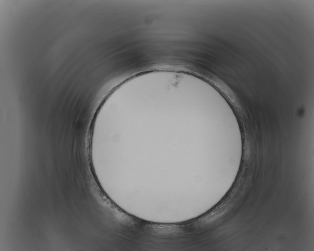 X0000089940856200707061059