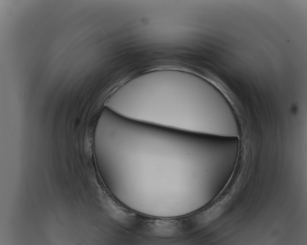 X0000089940857200707061059